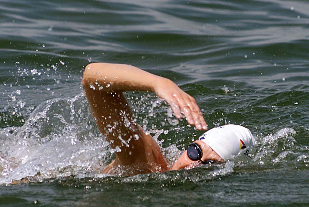 Around the Island Swim